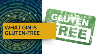 What Gin is Gluten-Free?