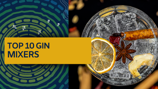 Top Ten Gin Mixers