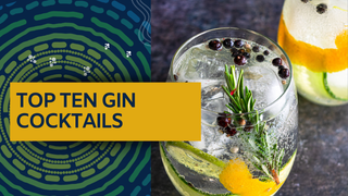 Top Ten Gin Cocktails