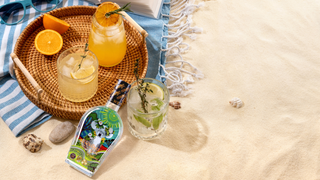 Beachtree Koala Native Citrus Gin bottle on sandy beach– organic Australian gin